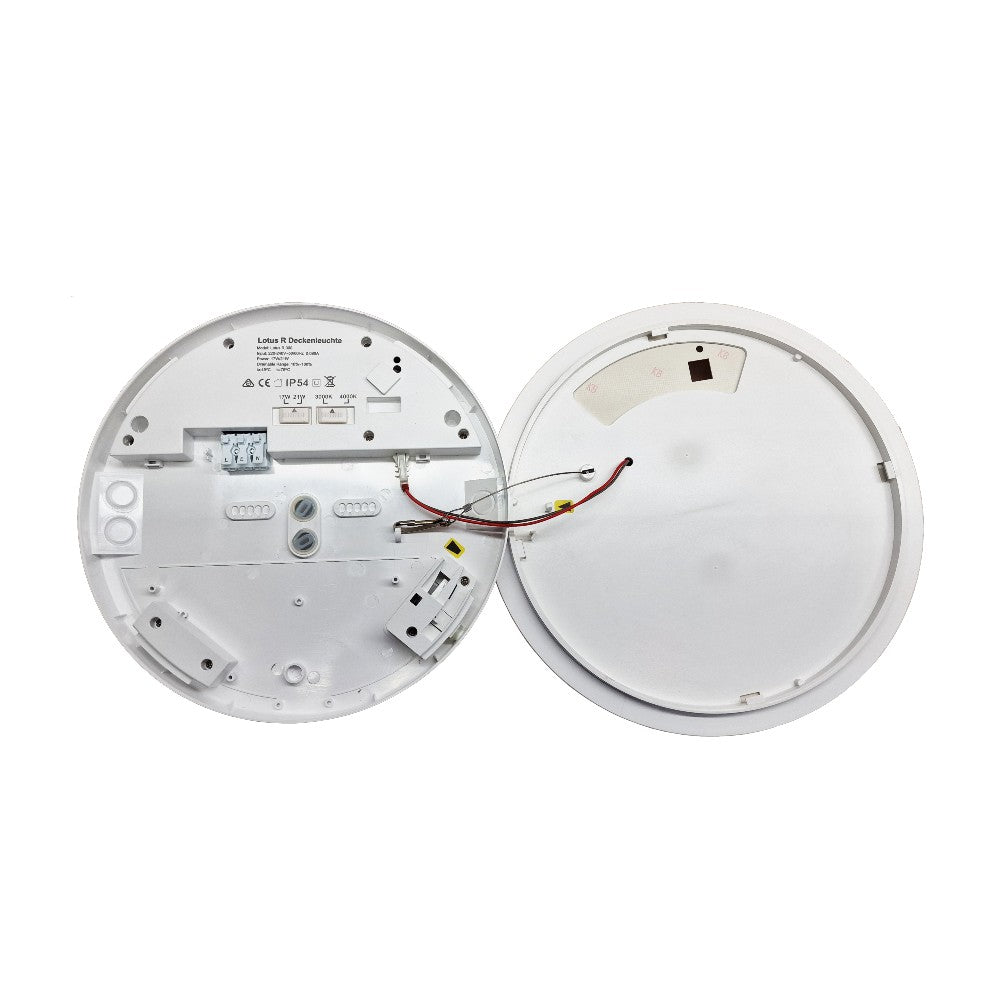 lotus r. mit Not-Element